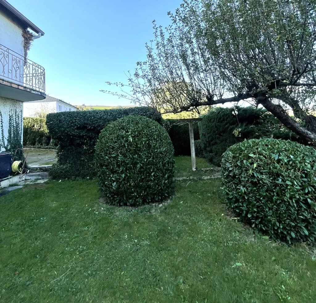 Jardin entretenu avec pelouse et arbustes taillés en formes arrondies – ALOE LA, paysagiste dans la Loire et les Monts du Lyonnais