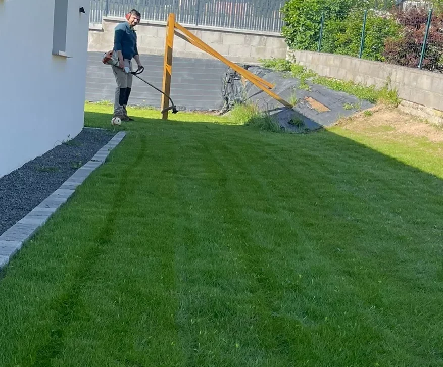 Tonte et entretien d’une pelouse par ALOE LA à Maringes